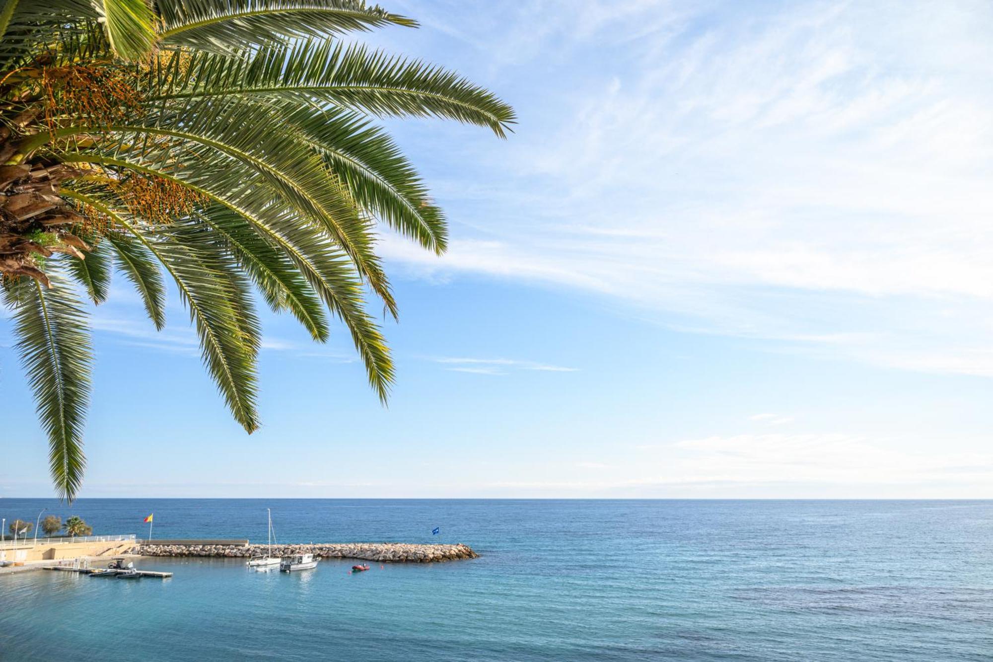 Le Coq Ligures - Air Conditioning - Seafront - Wifi 罗克布吕讷-卡普马丹 外观 照片